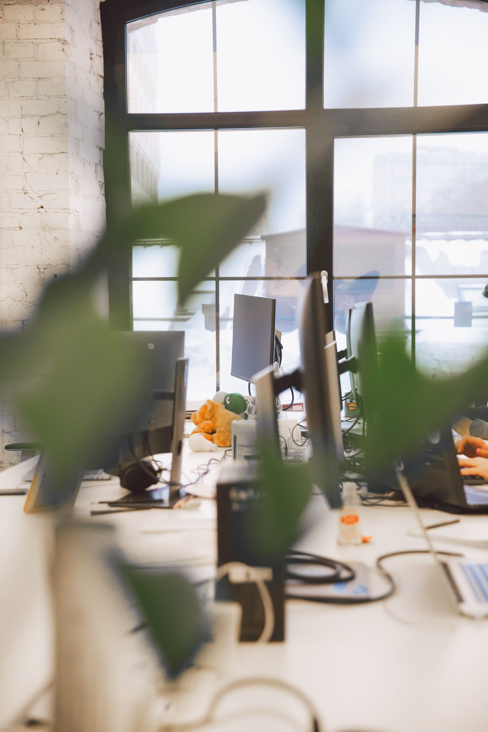 Hero image showing welcoming office environment